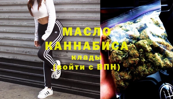 сатива Мегион