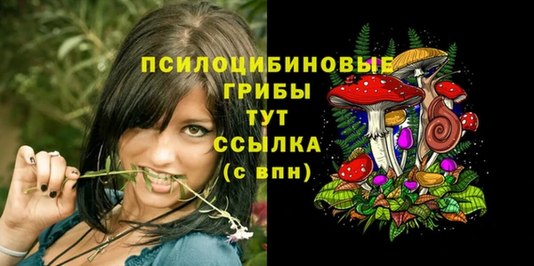 сатива Мегион