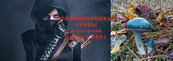 сатива Мегион