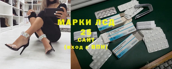 гашик Медногорск